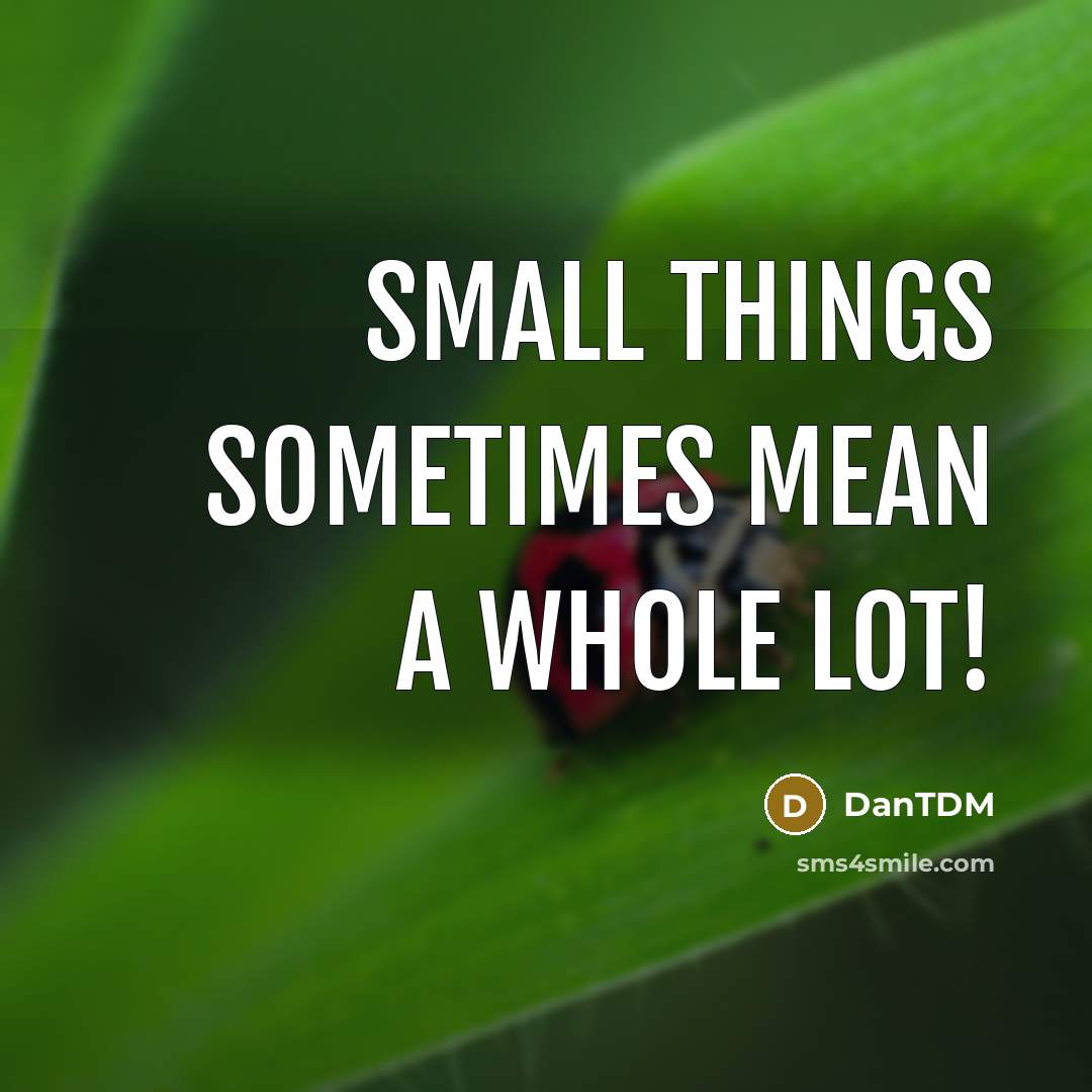 “Small things sometimes mean a whole lot!” quote by DanTDM