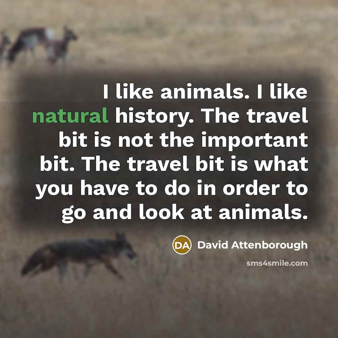 “I like animals. I like natural history. The travel bit is not the important bit. The travel bit is what you have to do in order to go and look at animals.” quote by David Attenborough