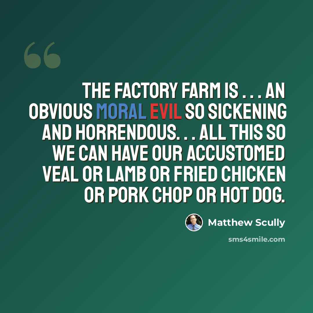 “The factory farm is . . . an obvious moral evil so sickening and horrendous. . . All this so we can have our accustomed veal or lamb or fried chicken or pork chop or hot dog.” quote by Matthew Scully