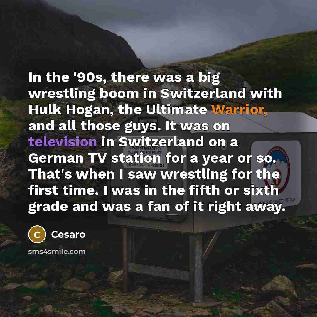 “In the '90s, there was a big wrestling boom in Switzerland with Hulk Hogan, the Ultimate Warrior, and all those guys. It was on television in Switzerland on a German TV station for a year or so. That's when I saw wrestling for the first time. I was in the fifth or sixth grade and was a fan of it…” quote by Cesaro