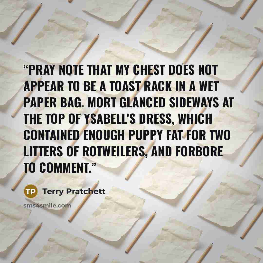 “Pray note that my chest does not appear to be a toast rack in a wet paper bag. Mort glanced sideways at the top of Ysabell's dress, which contained enough puppy fat for two litters of Rotweilers, and forbore to comment.” quote by Terry Pratchett