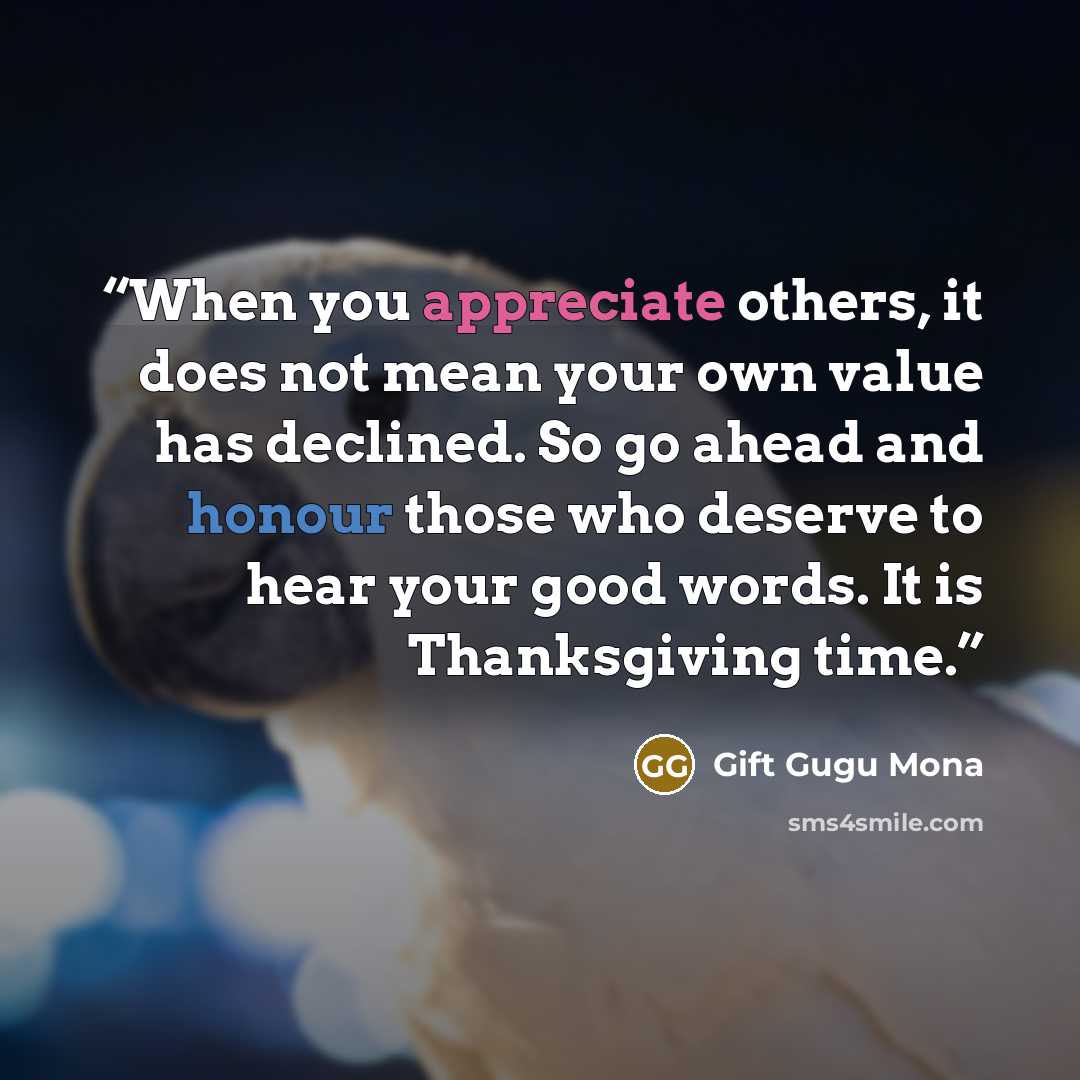 “When you appreciate others, it does not mean your own value has declined. So go ahead and honour those who deserve to hear your good words. It is Thanksgiving time.” quote by Gift Gugu Mona