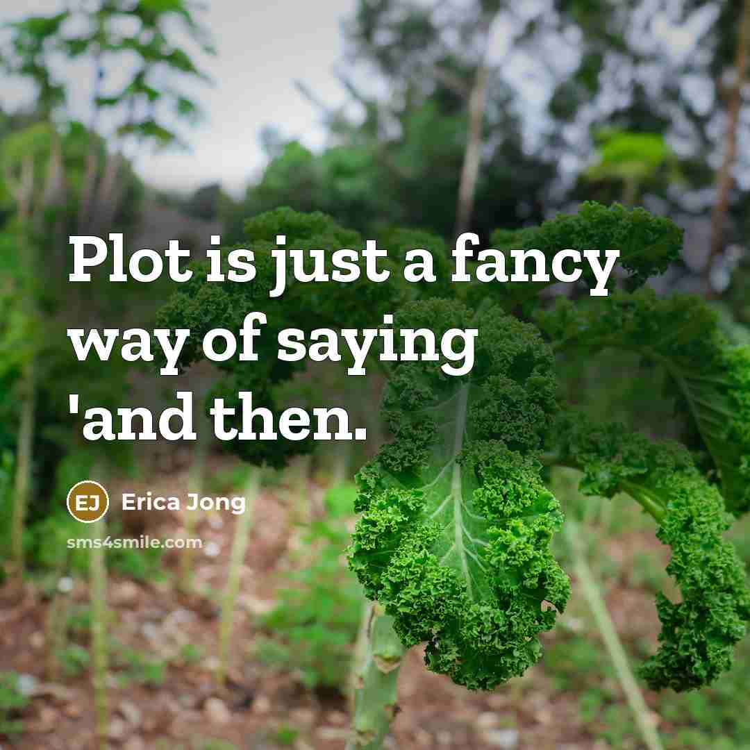 “Plot is just a fancy way of saying 'and then.” quote by Erica Jong