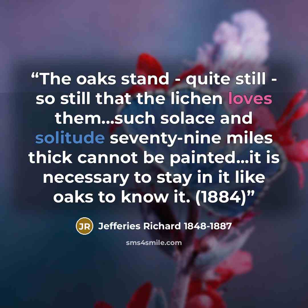 “The oaks stand - quite still - so still that the lichen loves them...such solace and solitude seventy-nine miles thick cannot be painted...it is necessary to stay in it like oaks to know it. (1884)” quote by Jefferies Richard 1848-1887