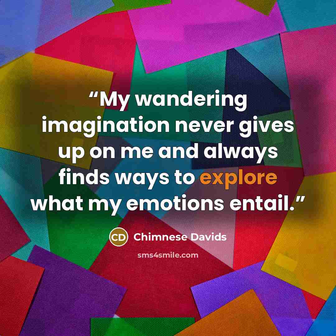 “My wandering imagination never gives up on me and always finds ways to explore what my emotions entail.” quote by Chimnese Davids
