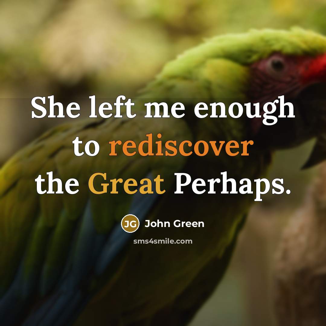 “She left me enough to rediscover the Great Perhaps.” quote by John Green