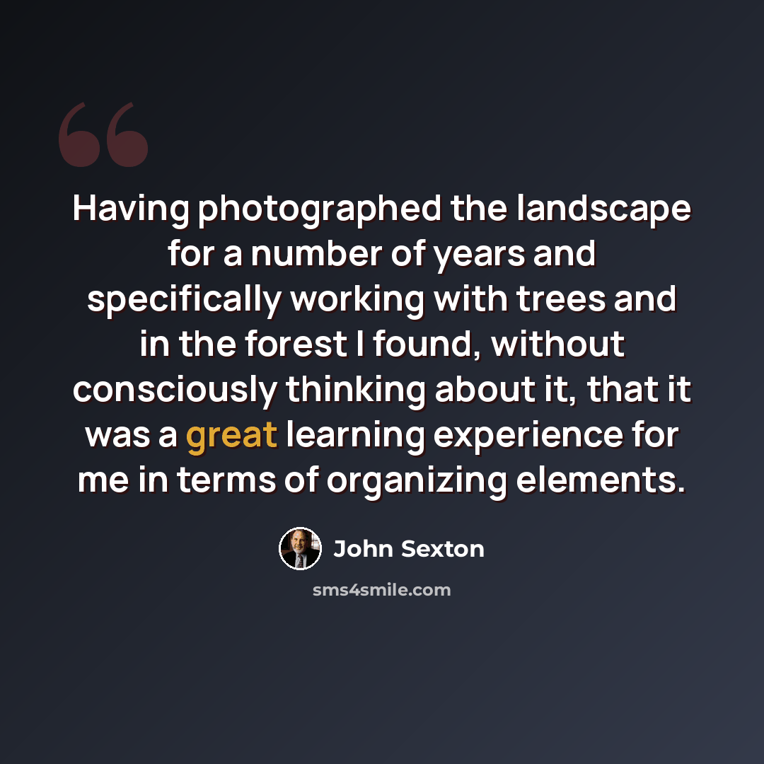 “Having photographed the landscape for a number of years and specifically working with trees and in the forest I found, without consciously thinking about it, that it was a great learning experience for me in terms of organizing elements.” quote by John Sexton