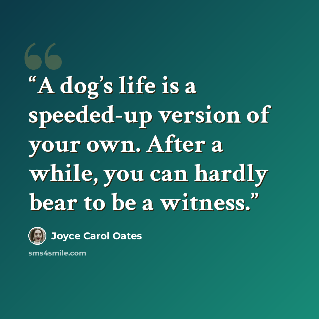 “A dog’s life is a speeded-up version of your own. After a while, you can hardly bear to be a witness.” quote by Joyce Carol Oates