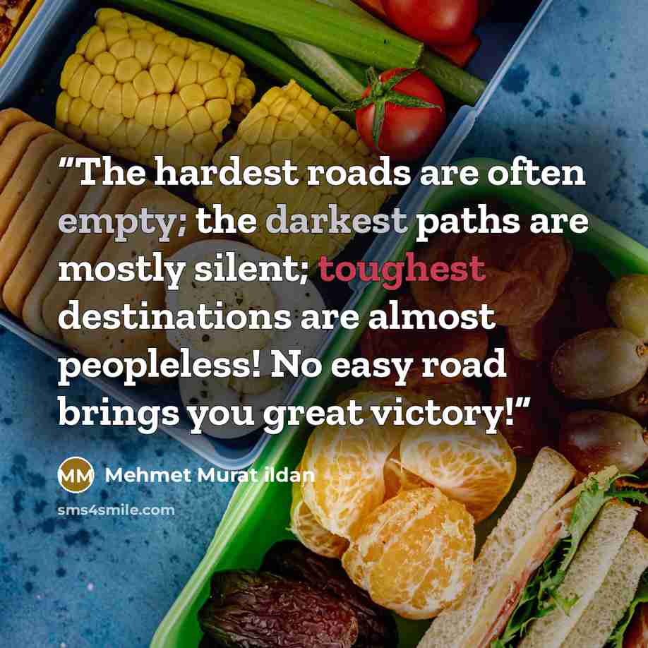 “The hardest roads are often empty; the darkest paths are mostly silent; toughest destinations are almost peopleless! No easy road brings you great victory!” quote by Mehmet Murat ildan