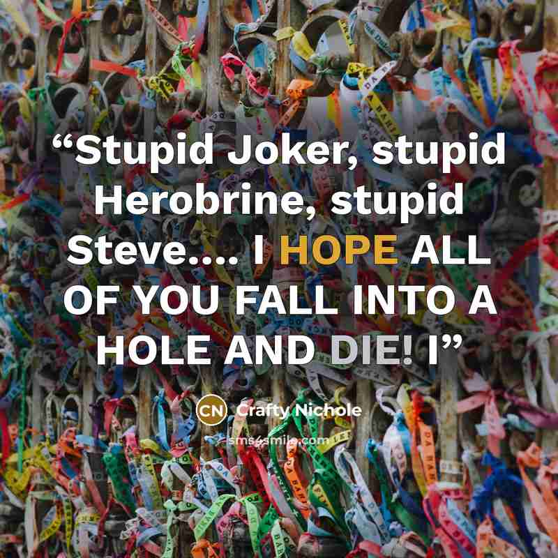 “Stupid Joker, stupid Herobrine, stupid Steve…. I HOPE ALL OF YOU FALL INTO A HOLE AND DIE! I” quote by Crafty Nichole