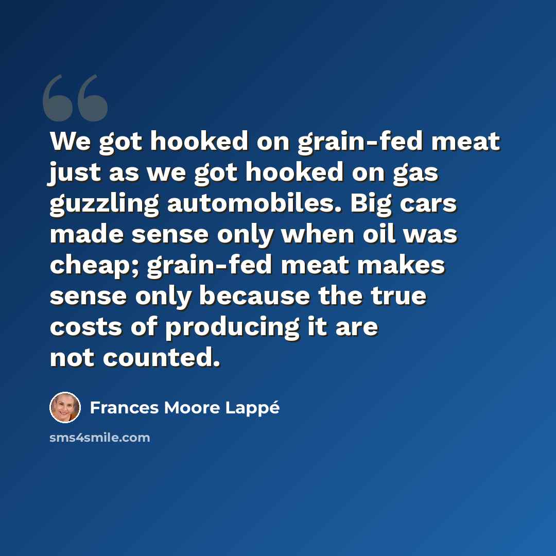 “We got hooked on grain-fed meat just as we got hooked on gas guzzling automobiles. Big cars made sense only when oil was cheap; grain-fed meat makes sense only because the true costs of producing it are not counted.” quote by Frances Moore Lappé