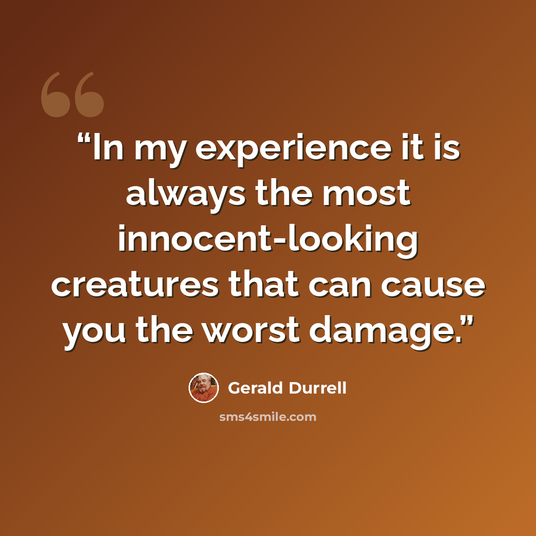 “In my experience it is always the most innocent-looking creatures that can cause you the worst damage.” quote by Gerald Durrell