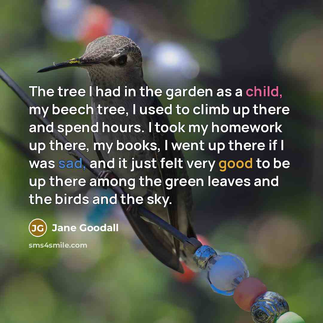“The tree I had in the garden as a child, my beech tree, I used to climb up there and spend hours. I took my homework up there, my books, I went up there if I was sad, and it just felt very good to be up there among the green leaves and the birds and the sky.” quote by Jane Goodall