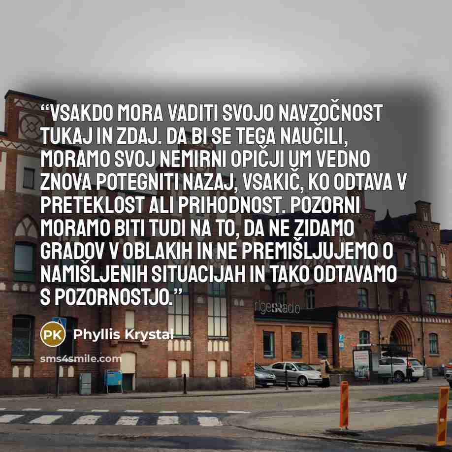 “Vsakdo mora vaditi svojo navzočnost tukaj in zdaj. Da bi se tega naučili, moramo svoj nemirni opičji um vedno znova potegniti nazaj, vsakič, ko odtava v preteklost ali prihodnost. Pozorni moramo biti tudi na to, da ne zidamo gradov v oblakih in ne premišljujemo o namišljenih situacijah in tako…” quote by Phyllis Krystal