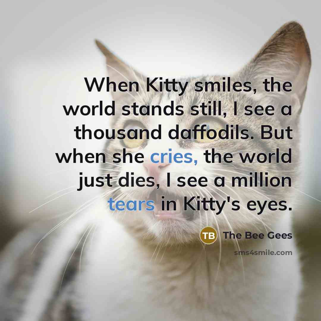 “When Kitty smiles, the world stands still, I see a thousand daffodils. But when she cries, the world just dies, I see a million tears in Kitty's eyes.” quote by The Bee Gees