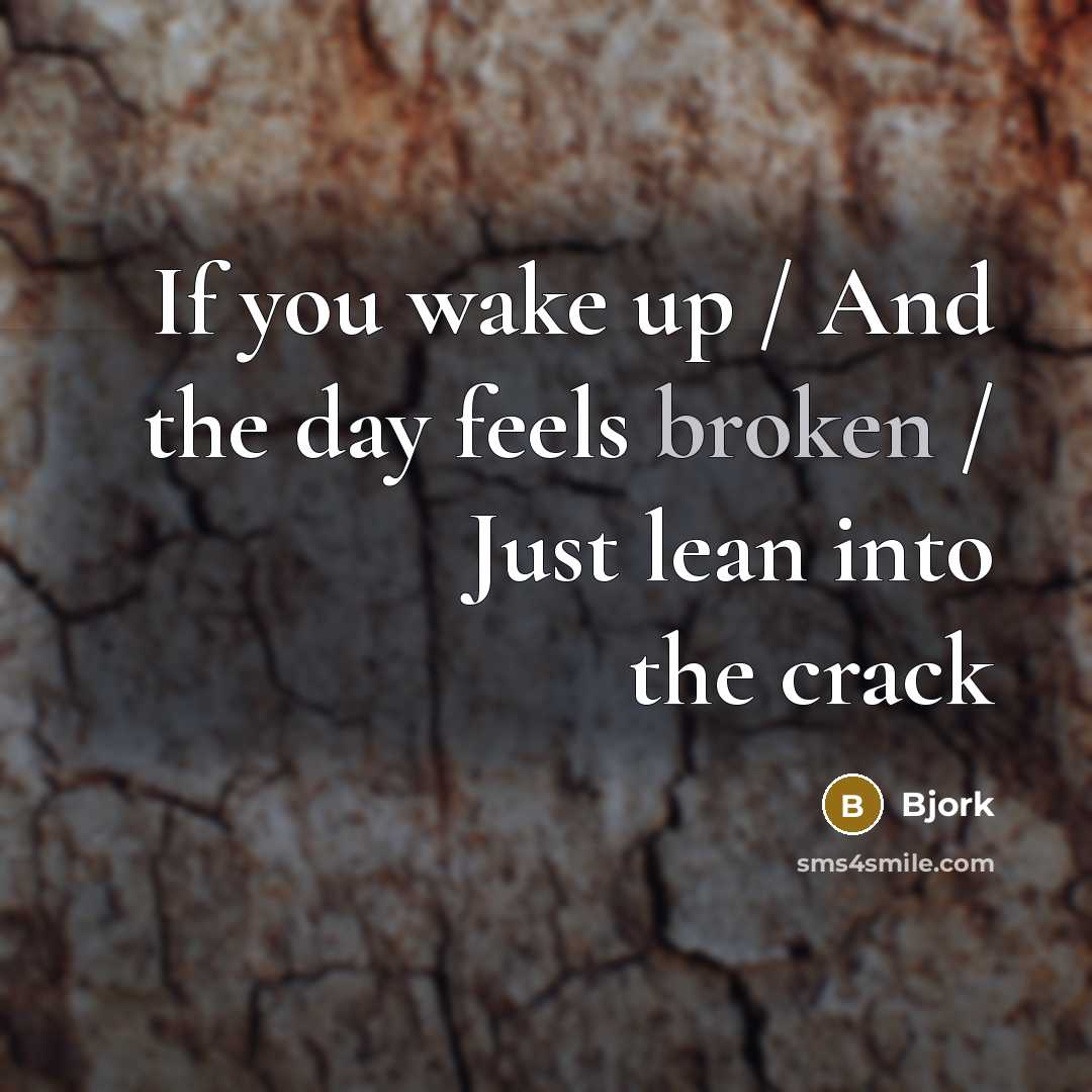“If you wake up / And the day feels broken / Just lean into the crack” quote by Bjork