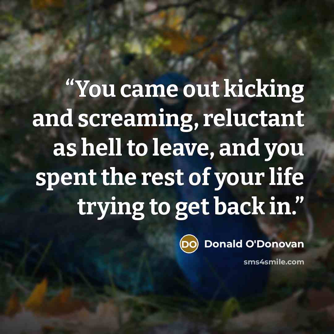“You came out kicking and screaming, reluctant as hell to leave, and you spent the rest of your life trying to get back in.” quote by Donald O'Donovan