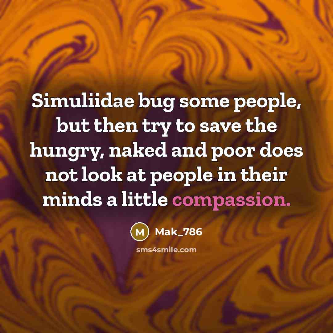 “Simuliidae bug some people, but then try to save the hungry, naked and poor does not look at people in their minds a little compassion.” quote by Mak_786