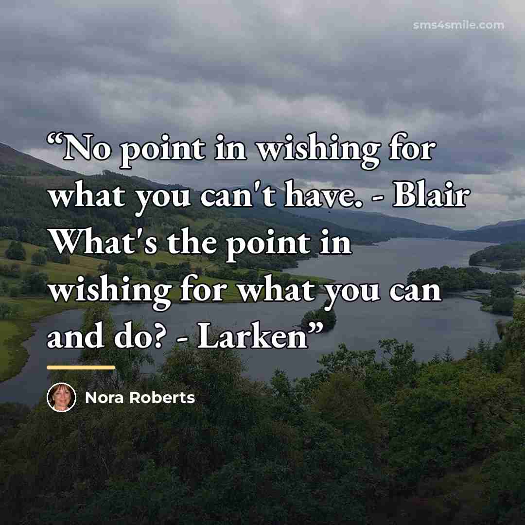 “No point in wishing for what you can't have. - Blair What's the point in wishing for what you can and do? - Larken” quote by Nora Roberts