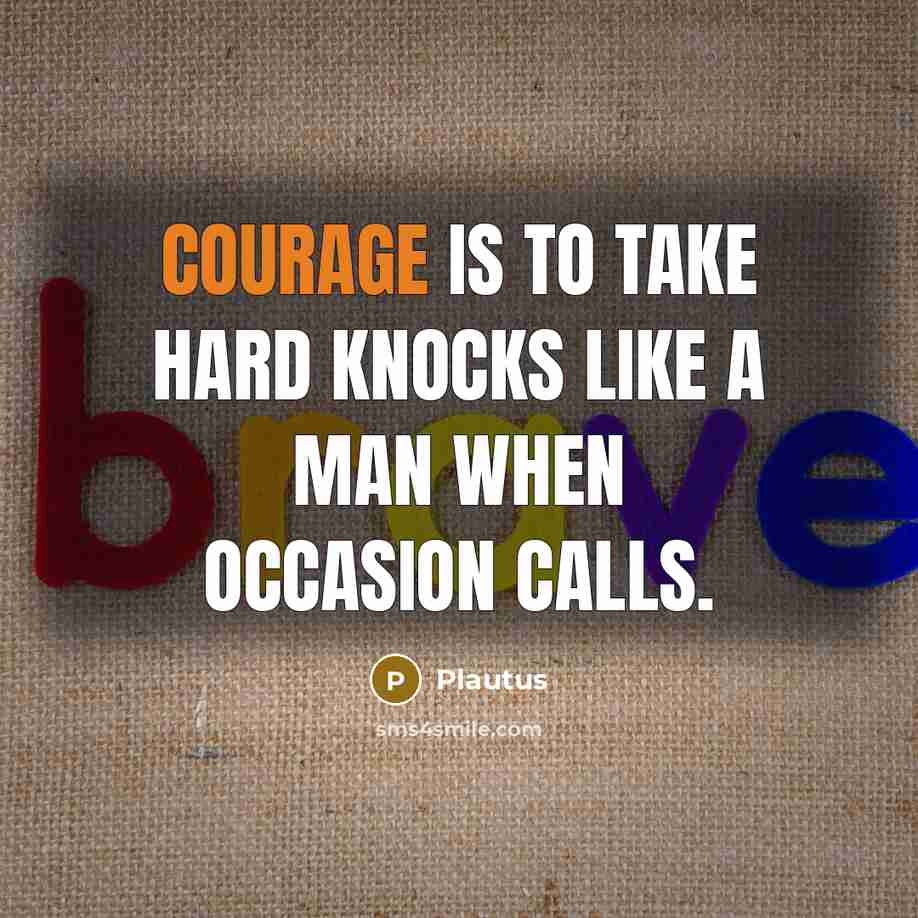 “Courage is to take hard knocks like a man when occasion calls.” quote by Plautus