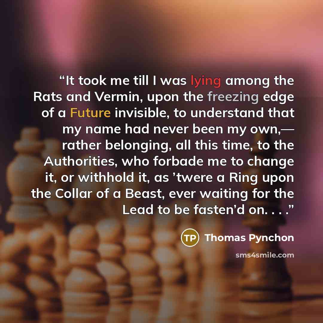 “It took me till I was lying among the Rats and Vermin, upon the freezing edge of a Future invisible, to understand that my name had never been my own,— rather belonging, all this time, to the Authorities, who forbade me to change it, or withhold it, as ’twere a Ring upon the Collar of a Beast…” quote by Thomas Pynchon