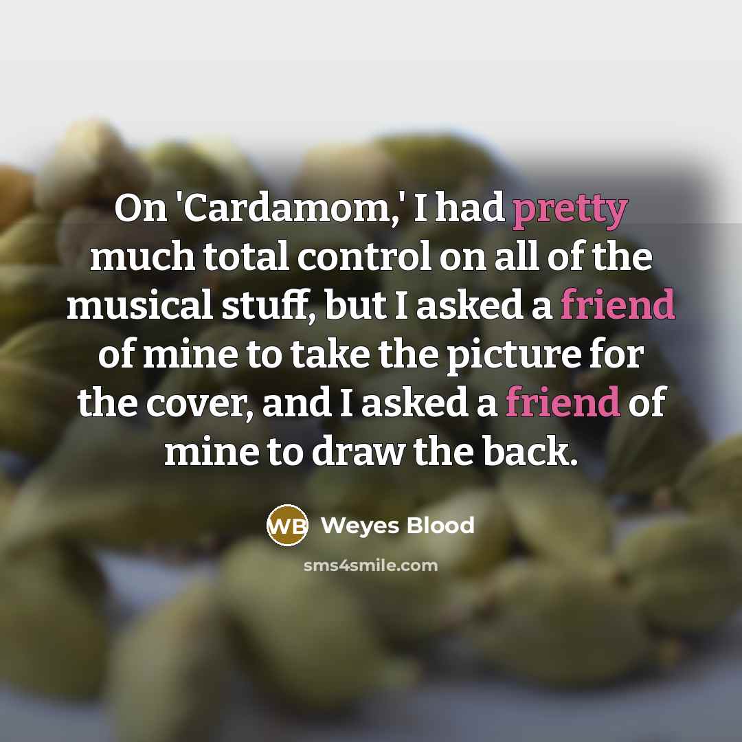 “On 'Cardamom,' I had pretty much total control on all of the musical stuff, but I asked a friend of mine to take the picture for the cover, and I asked a friend of mine to draw the back.” quote by Weyes Blood