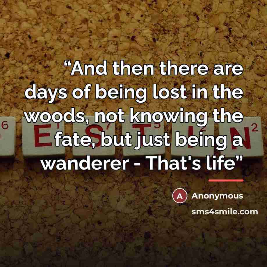 “And then there are days of being lost in the woods, not knowing the fate, but just being a wanderer - That's life” quote by Anonymous
