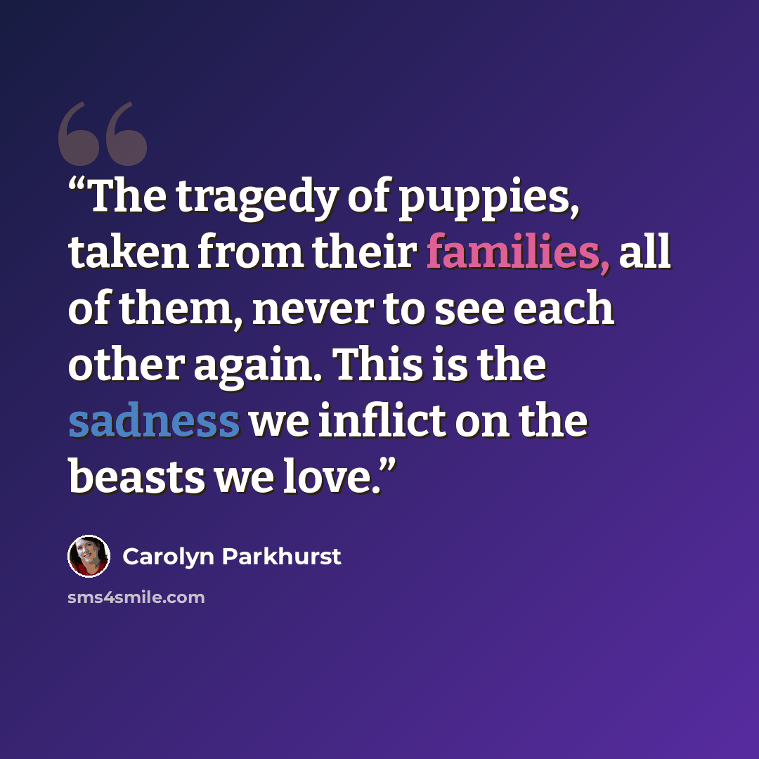 “The tragedy of puppies, taken from their families, all of them, never to see each other again. This is the sadness we inflict on the beasts we love.” quote by Carolyn Parkhurst