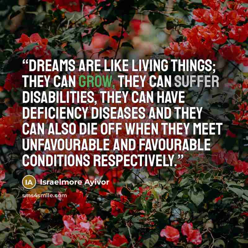 “Dreams are like living things; they can grow, they can suffer disabilities, they can have deficiency diseases and they can also die off when they meet unfavourable and favourable conditions respectively.” quote by Israelmore Ayivor