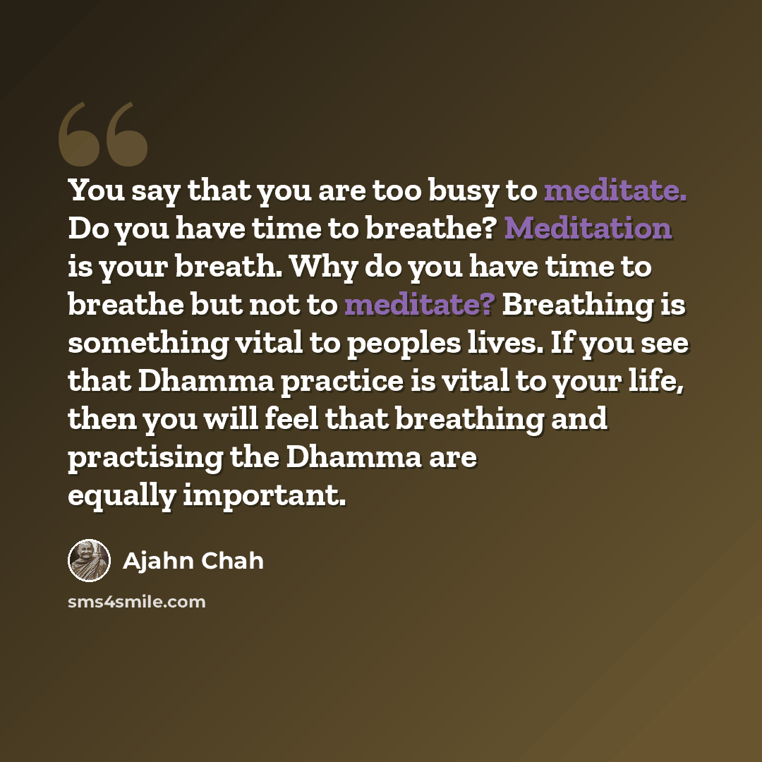 “You say that you are too busy to meditate. Do you have time to breathe? Meditation is your breath. Why do you have time to breathe but not to meditate? Breathing is something vital to peoples lives. If you see that Dhamma practice is vital to your life, then you will feel that breathing and…” quote by Ajahn Chah