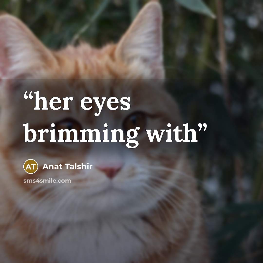 “her eyes brimming with” quote by Anat Talshir