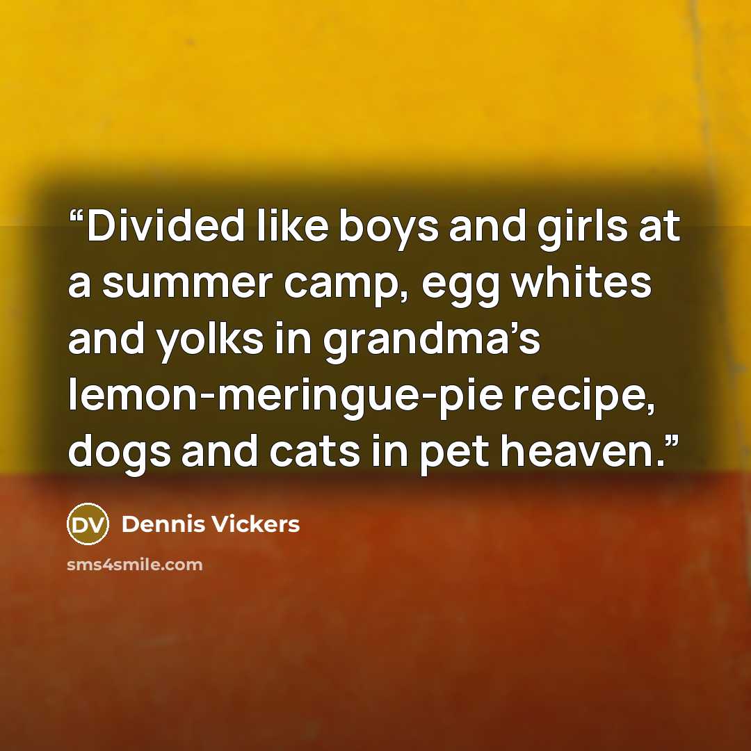 “Divided like boys and girls at a summer camp, egg whites and yolks in grandma’s lemon-meringue-pie recipe, dogs and cats in pet heaven.” quote by Dennis Vickers