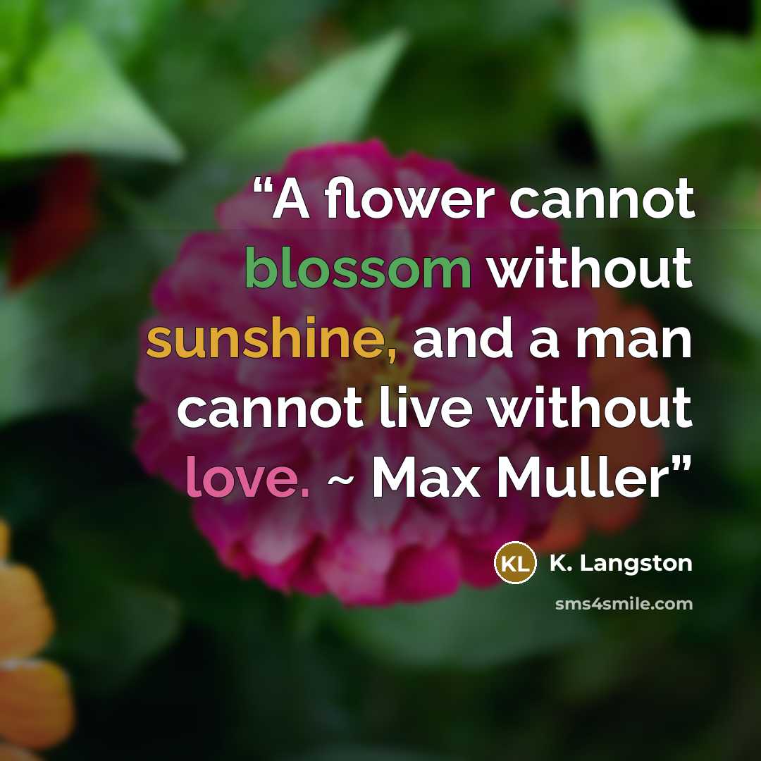 “A flower cannot blossom without sunshine, and a man cannot live without love. ~ Max Muller” quote by K. Langston