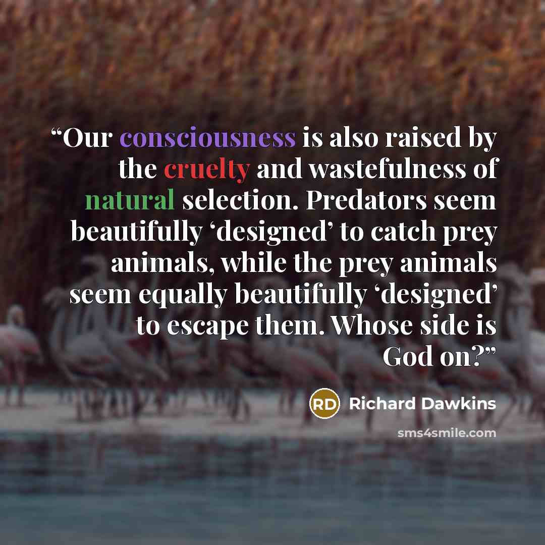 “Our consciousness is also raised by the cruelty and wastefulness of natural selection. Predators seem beautifully ‘designed’ to catch prey animals, while the prey animals seem equally beautifully ‘designed’ to escape them. Whose side is God on?” quote by Richard Dawkins