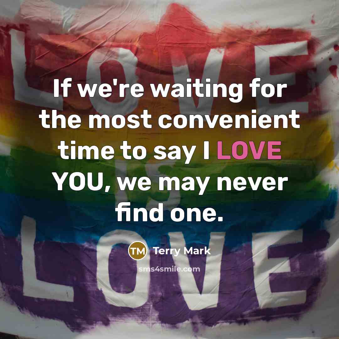 “If we're waiting for the most convenient time to say I LOVE YOU, we may never find one.” quote by Terry Mark