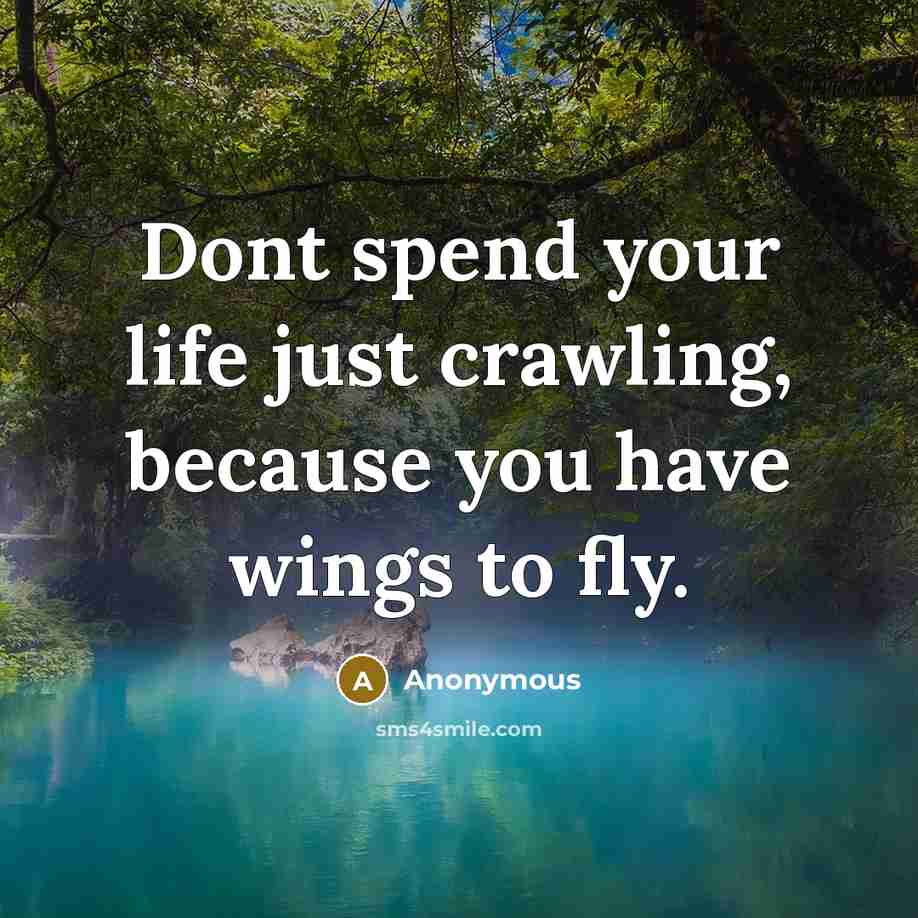 “Dont spend your life just crawling, because you have wings to fly.” quote by Anonymous