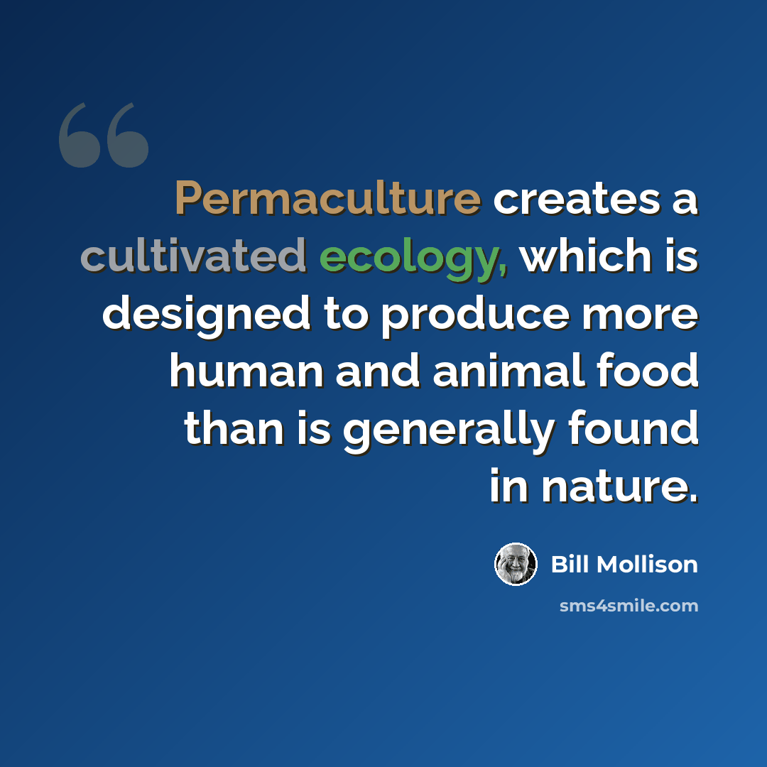 “Permaculture creates a cultivated ecology, which is designed to produce more human and animal food than is generally found in nature.” quote by Bill Mollison