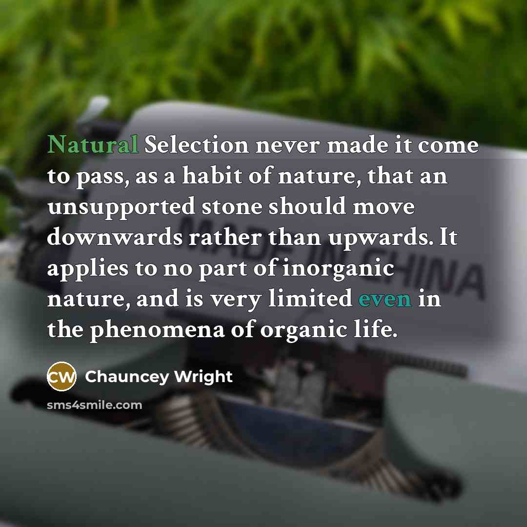 “Natural Selection never made it come to pass, as a habit of nature, that an unsupported stone should move downwards rather than upwards. It applies to no part of inorganic nature, and is very limited even in the phenomena of organic life.” quote by Chauncey Wright