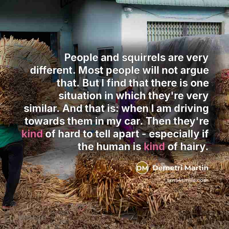 “People and squirrels are very different. Most people will not argue that. But I find that there is one situation in which they're very similar. And that is: when I am driving towards them in my car. Then they're kind of hard to tell apart - especially if the human is kind of hairy.” quote by Demetri Martin