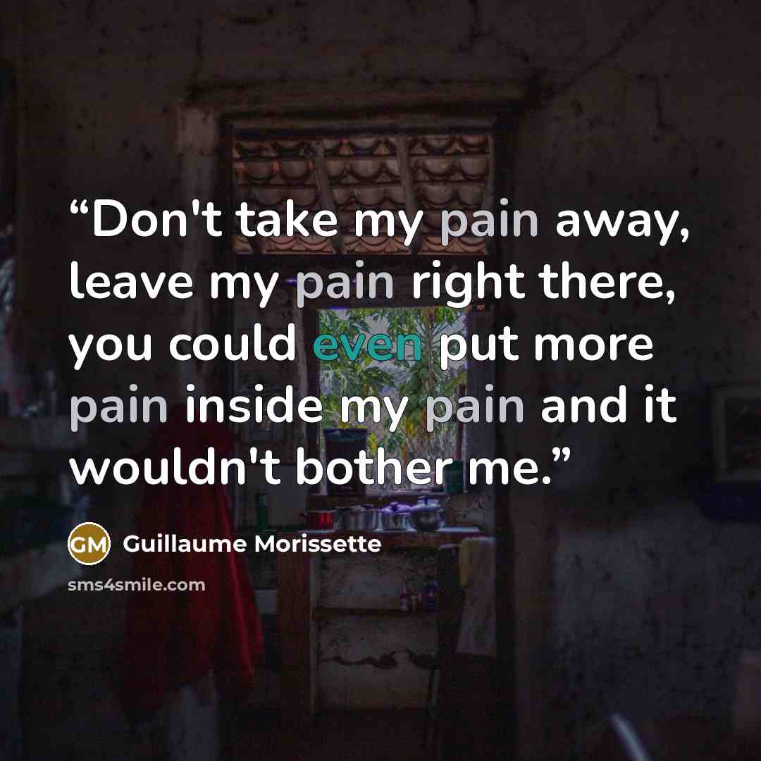 “Don't take my pain away, leave my pain right there, you could even put more pain inside my pain and it wouldn't bother me.” quote by Guillaume Morissette