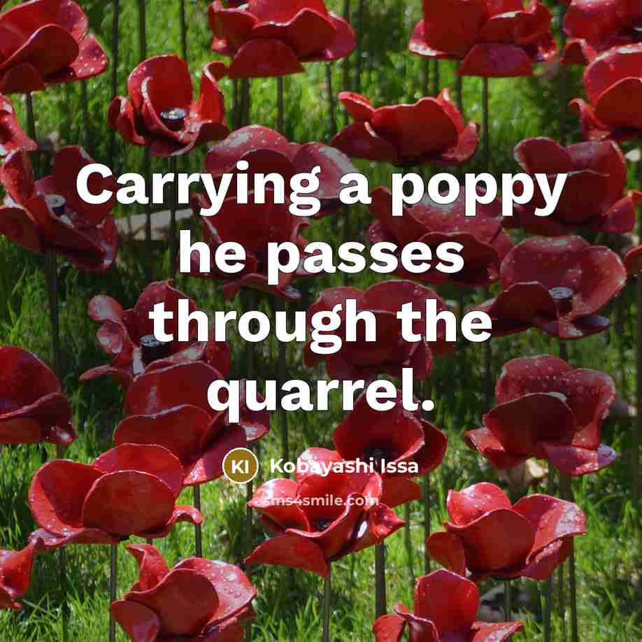 “Carrying a poppy he passes through the quarrel.” quote by Kobayashi Issa