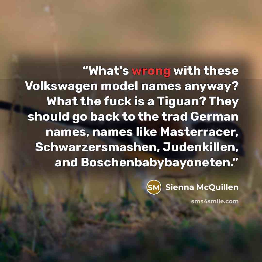 “What's wrong with these Volkswagen model names anyway? What the fuck is a Tiguan? They should go back to the trad German names, names like Masterracer, Schwarzersmashen, Judenkillen, and Boschenbabybayoneten.” quote by Sienna McQuillen