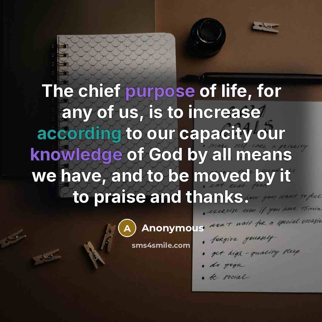 “The chief purpose of life, for any of us, is to increase according to our capacity our knowledge of God by all means we have, and to be moved by it to praise and thanks.” quote by Anonymous