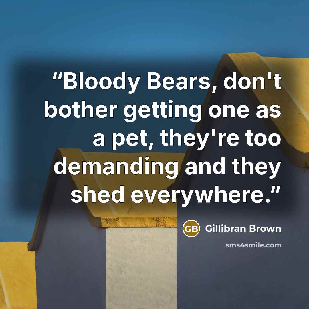 “Bloody Bears, don't bother getting one as a pet, they're too demanding and they shed everywhere.” quote by Gillibran Brown