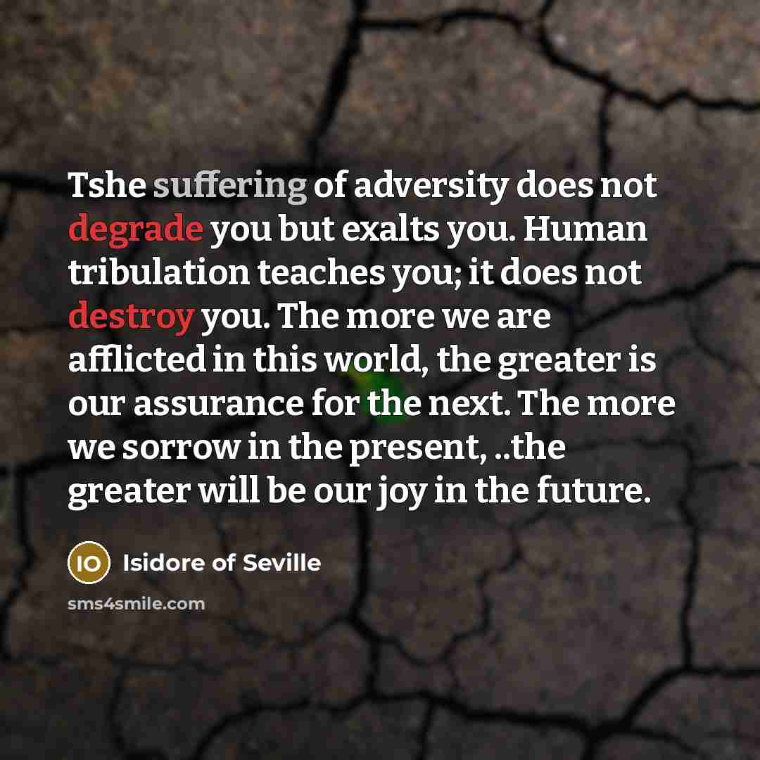 “Tshe suffering of adversity does not degrade you but exalts you. Human tribulation teaches you; it does not destroy you. The more we are afflicted in this world, the greater is our assurance for the next. The more we sorrow in the present, ..the greater will be our joy in the future.” quote by Isidore of Seville