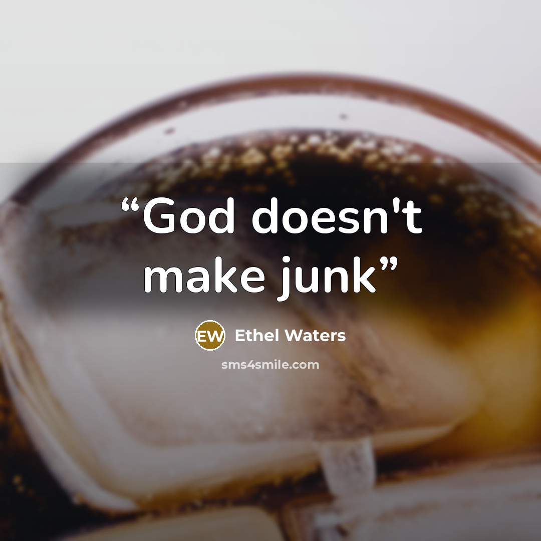 “God doesn't make junk” quote by Ethel Waters