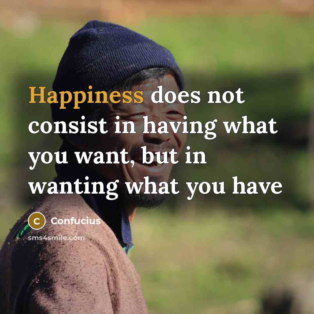 “Happiness does not consist in having what you want, but in wanting what you have” quote by Confucius