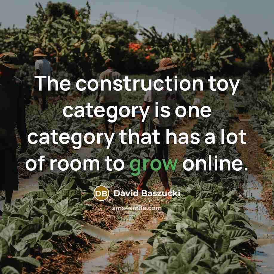 “The construction toy category is one category that has a lot of room to grow online.” quote by David Baszucki