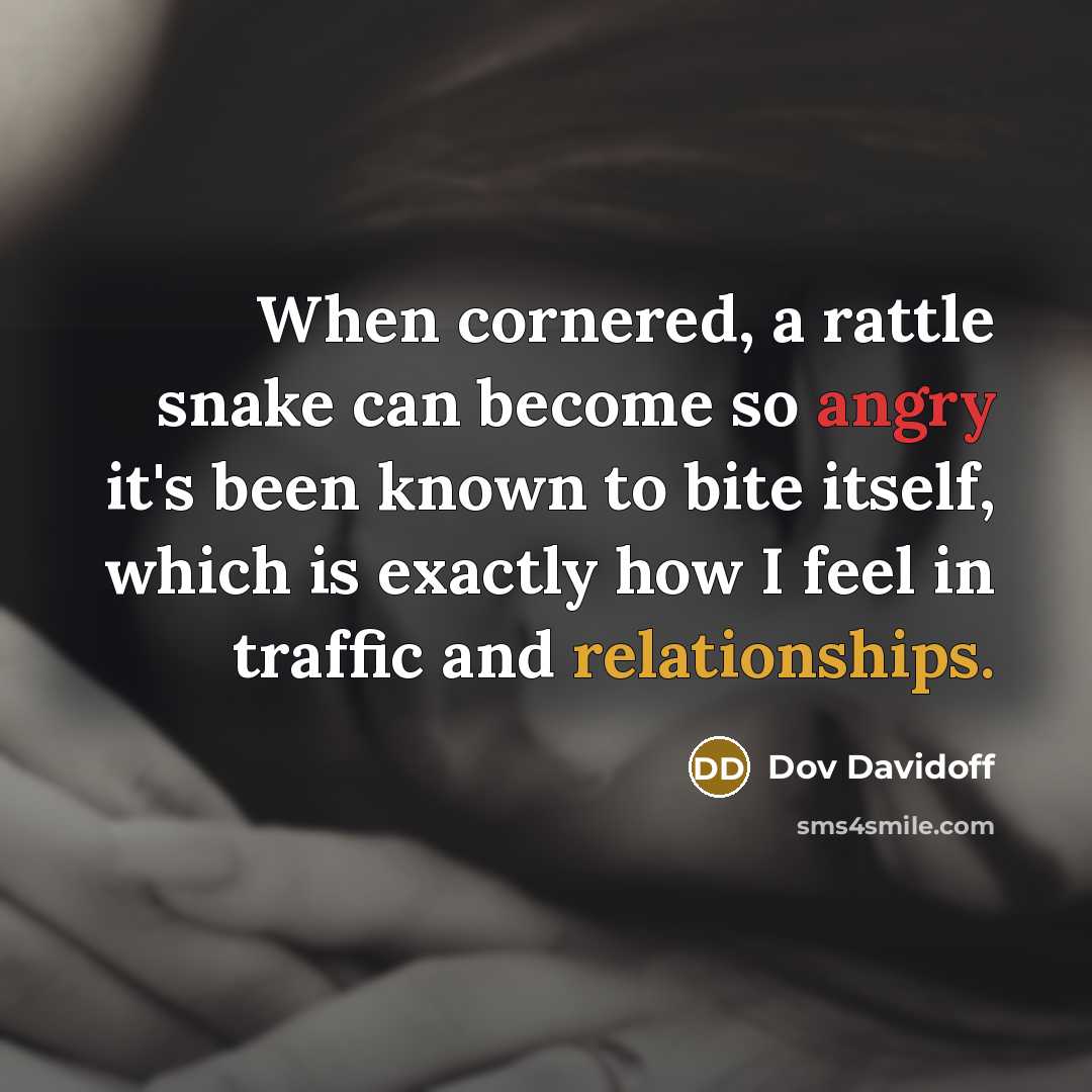 “When cornered, a rattle snake can become so angry it's been known to bite itself, which is exactly how I feel in traffic and relationships.” quote by Dov Davidoff