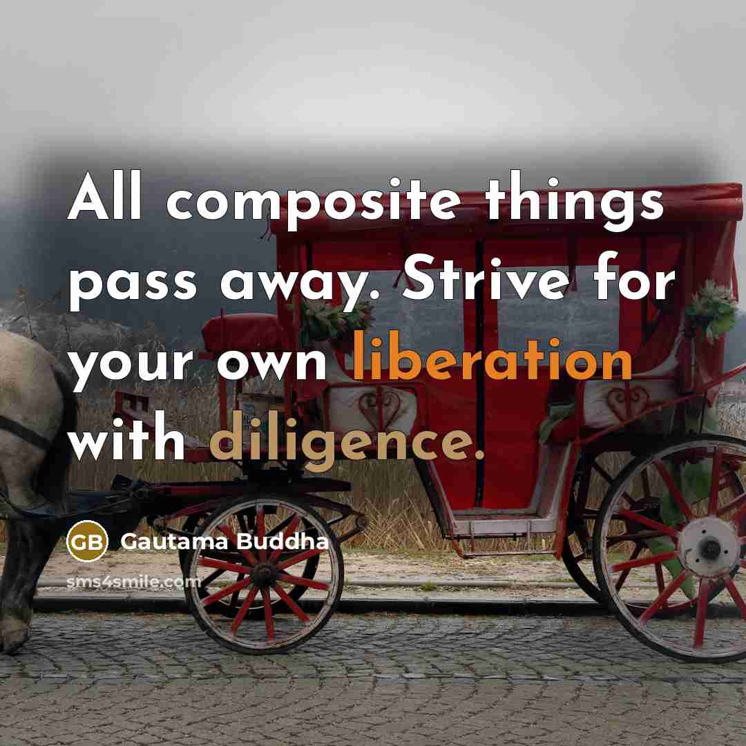 “All composite things pass away. Strive for your own liberation with diligence.” quote by Gautama Buddha
